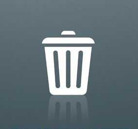 ODSTRANĚNÍ ODPADŮ A NEPOŘÁDKU